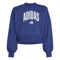 ADIDAS - Polera JG CLGT FT SWT  JM1535
