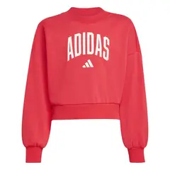 ADIDAS - Polera JG CLGT FT SWT  JV7378