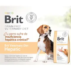 BRIT - Veterinary Hepatic 12kg