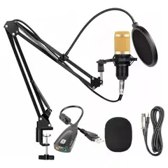 SEISA - Micrófono Condensador profesional Grabacion Estudio USB con brazo Ajustable Antipop