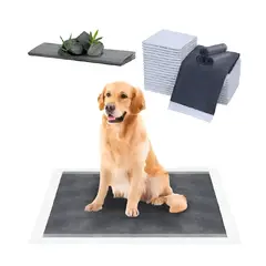 GENERICO - Pañal De Piso Perro Carbón Entrenamiento Absorbente Hannzo