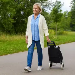 GENERICO - COCHE GRANDE CARRITO COMPRAS BOLSO MERCADO HOGAR CON BOLSILLO Y CIERRE NEGRO