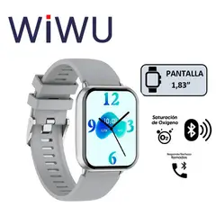 WIWU - SMARTWATCH RELOJ SW09 PLATA