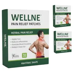 GENERICO - Pack 2 Cajas 20 parches dolor Muscular Articulaciones