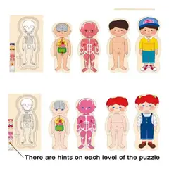 GENERICO - Rompecabezas De Cuerpo Humano