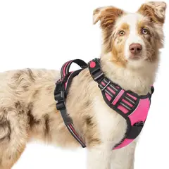 IMPORTADO MC - Arnés Ajustable para Perro Talla M Antitirones Reflectante con Asa Rosa Oscuro