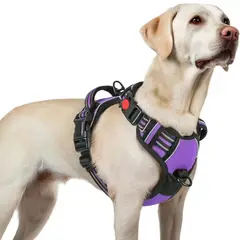 IMPORTADO MC - Arnés Ajustable para Perro Talla Large Antitirones Reflectante con Asa Color Púrpura