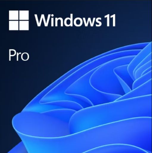 Windows 11 Pro Retail Global