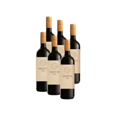 BOTTEGA - Amatia Tinto 750 ml - CAJA x6