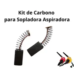 GENERICO - Kit Carbon de Sopadora Aspiradora