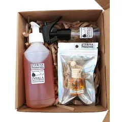 GENERICO - PACK PREMIUM AMBIENTADOR + RECARGA PARA AUTO ETERNA PRIMAVERA INHALA