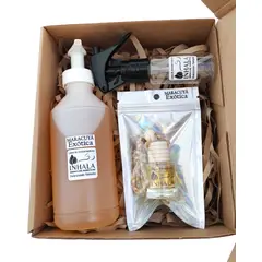 GENERICO - PACK PREMIUM AMBIENTADOR + RECARGA PARA AUTO MARACUYÁ EXÓTICA INHALA