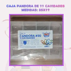 GENERICO - Caja Organizadora “Pandora” de 11 Cavidades – Plástico Resistente