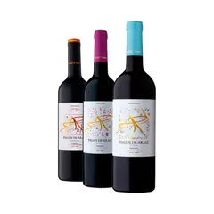 GENERICO - PAGO DE ARAIZ (Joven + roble + crianza) 750 ml - x3