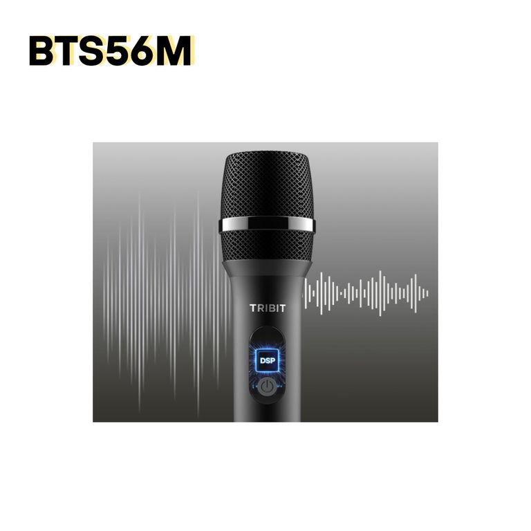 Pack de Micrófonos Inalámbricos BTS56M con receptor recargable de 2.4 GHz