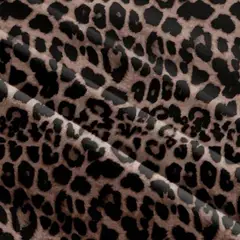 GENERICO - Conjunto de dama top y short