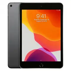 APPLE - IPad mini 5 Wi-Fi 256 GB Gris Espacial - Reacondicionado
