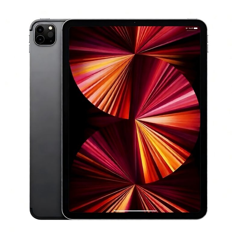 IPad Pro 2021 11 Wi-Fi 256 GB Negro - Reacondicionado