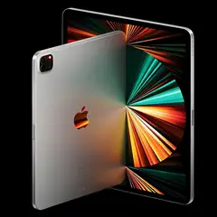 APPLE - IPad Pro 2021 11 Wi-Fi 256 GB Negro - Reacondicionado