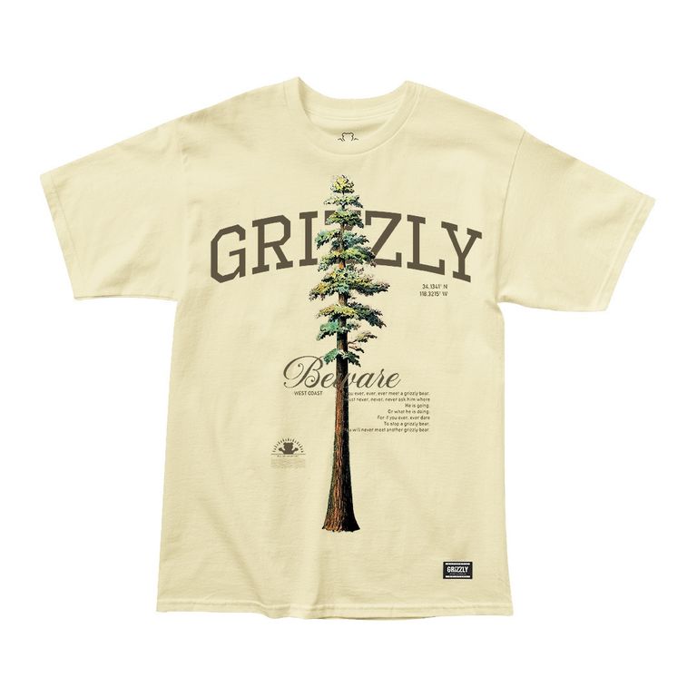 POLOS TALLEST PINE CREAM