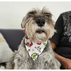 GENERICO - Bandana Navideña Grinch S para Mascota