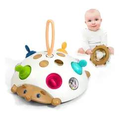 GENERICO - Juguete Sensorial Montessori Erizo 4 en 1 para Bebé