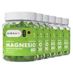 NIBRAY - Citrato de Magnesio con Vitamina C para Niños en Gomitas 6 Frascos Kids