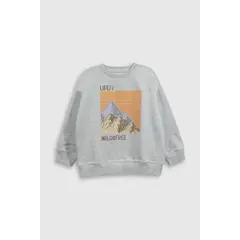 COLLOKY - Polera  Niño Plpo2506V25 Gris