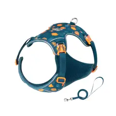 TRUELOVE - Conjunto Arnes Y Correa Nature Verde Talla XS - 45-55cm