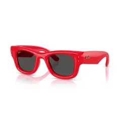 RAY BAN - Lentes de Sol Ray-Ban
