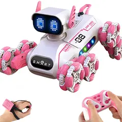 GENERAL - PERRO ROBOT CON CONTROL