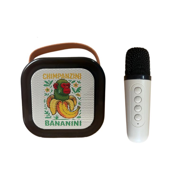 Parlante Portátil Bluetooth para Karaoke con Micrófono