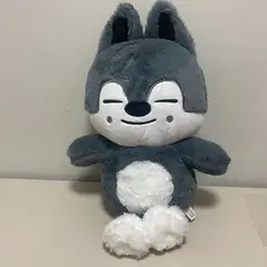 GENERICO - TEDDY BEAR BANGCHAN SKZ