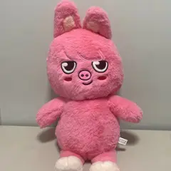 GENERICO - TEDDY BEAR CHANGBIN SKZ