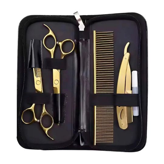 Kit de Peluquería Profesional Estuche de 6 Piezas en Oro Galvánico con Tijeras, Navaja y Peine