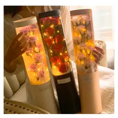 GENERICO - RAMO DE ROSAS CON LUCES