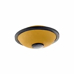 MEINL - MINI TAMBOR DE LENGUETA DE ACERO EN SI MAYOR SONIC ENERGY MSTD3G