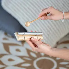 MEINL - CAMPANA DE ENERGÍA SINÓDICO LUNAR SONIC ENERGY EC-M-SY