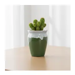 GENERICO - Maceta de Cerámica Esmaltada tipo Vaso - Verde