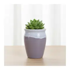 GENERICO - Maceta de Cerámica Esmaltada tipo Vaso - Lila