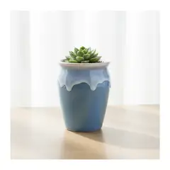 GENERICO - Maceta de Cerámica Esmaltada tipo Vaso - Celeste