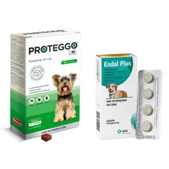 PROTEGGO - Antipulga 1M para Perros de 2 - 4.5 kg + Endal