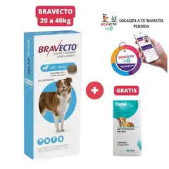 BRAVECTO - Antipulgas para perros de 20 - 40 kg + Geolocalizador para Mascota