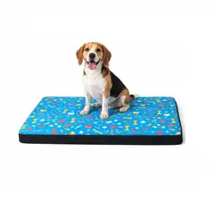 GENERICO - Cama colchoneta básica de verano para perro y gatos celeste talla 3