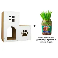 GENERICO - Pack Rascador polarita 2 pisos Blanco + Hierba Natural Para Gatos