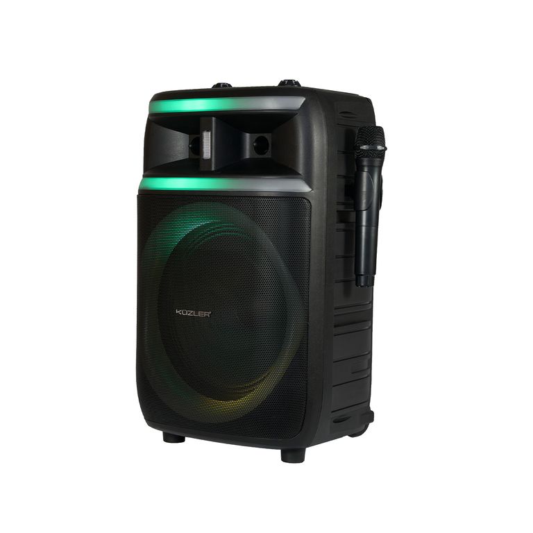 Parlante Karaoke con Micrófono Incluido 1000W FREQON-101
