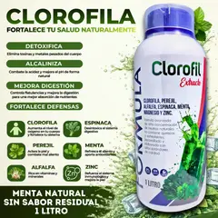 GENERICO - Suplemento Clorofila Líquida Concentrada 1LITRO de Superalimento Detox Natural con Magnesio y Zinc