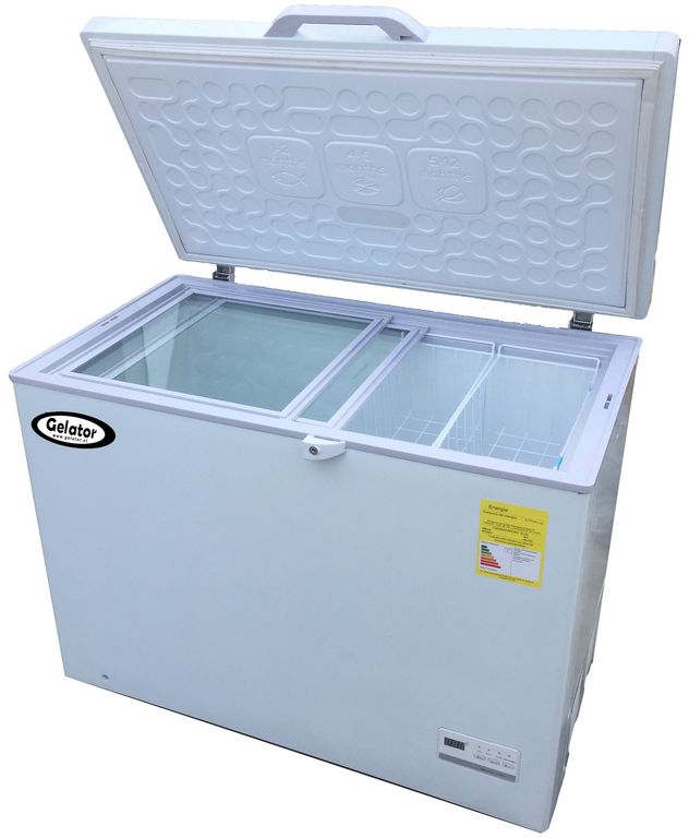 CONGELADORA 300 LTS