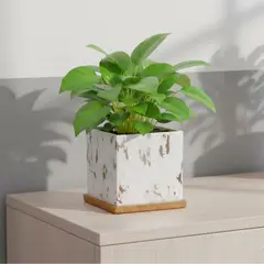 GENERICO - Maceta Cuadrada de Cerámica Mármol Blanco con Plato