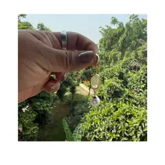 GENERICO - Aretes Pendientes Luz de Perla Espinoza Nirvagems Fino Acero Inoxidable MOD1009